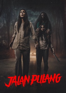 Дорога домой